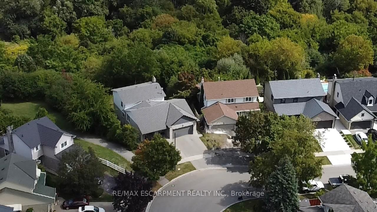 Detached House in Blue Grass Meadows