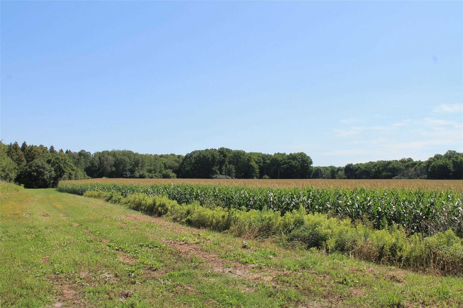 Vacant Land in Rural Scugog