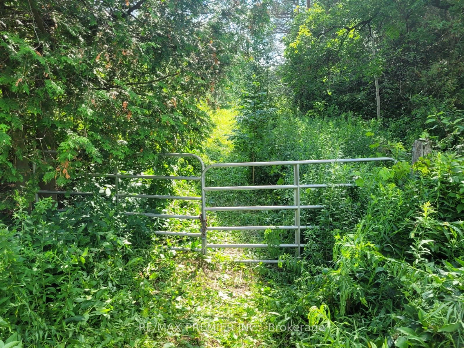 Vacant Land in Bowmanville