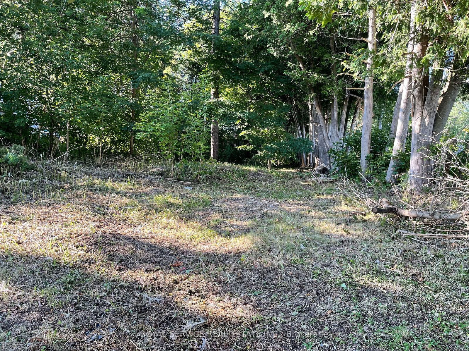Vacant Land in Orono