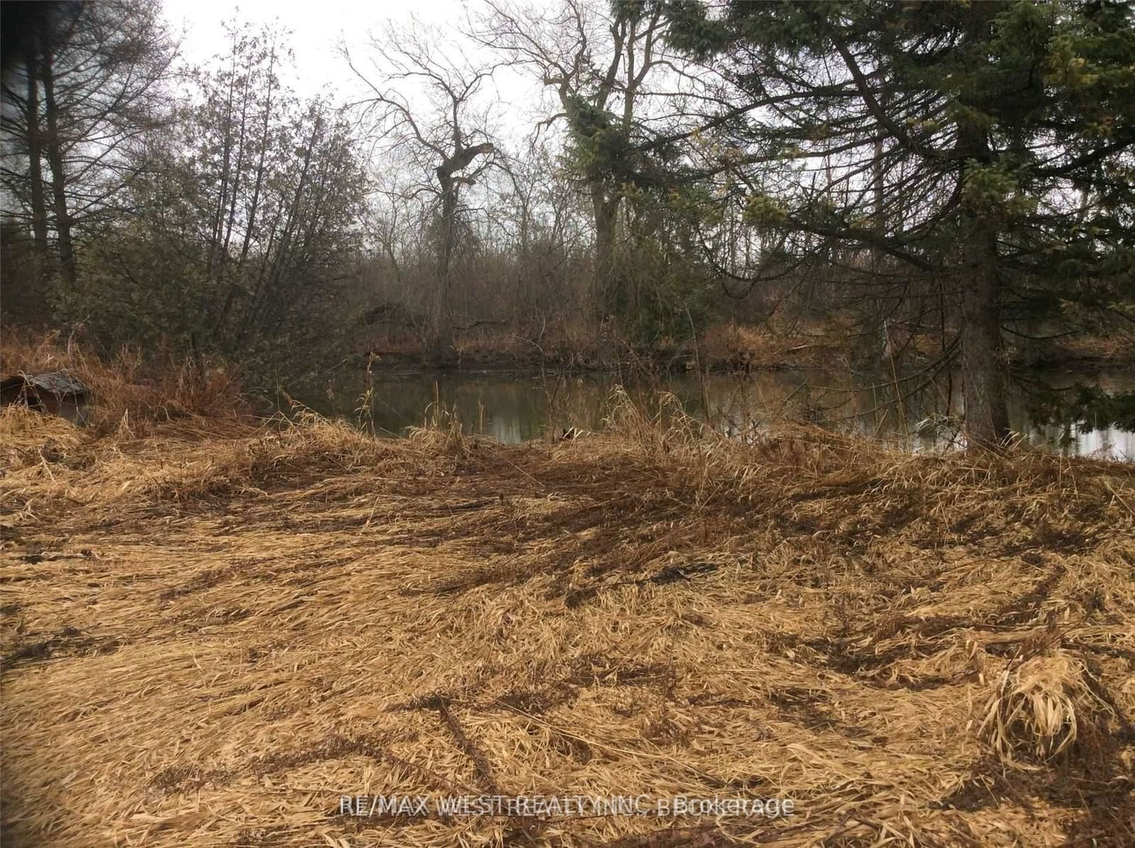 Vacant Land in Rural East Gwillimbury