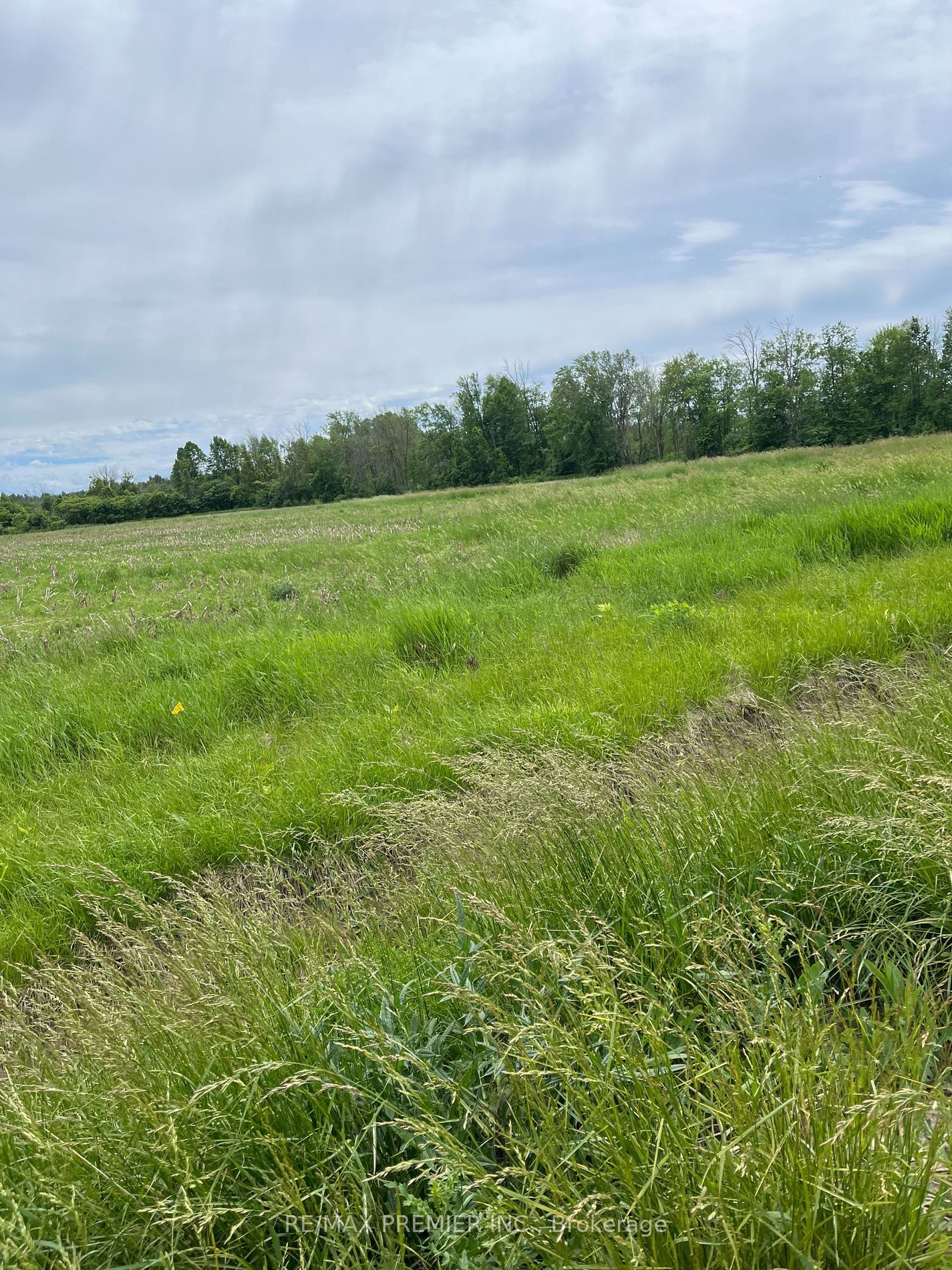 Vacant Land in Pefferlaw