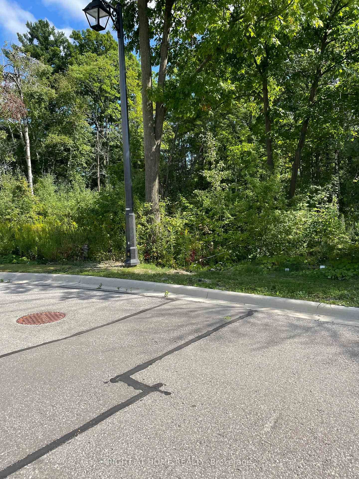 Vacant Land in Oak Ridges Lake Wilcox
